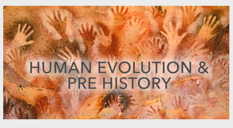 Human Evolution & Pre History