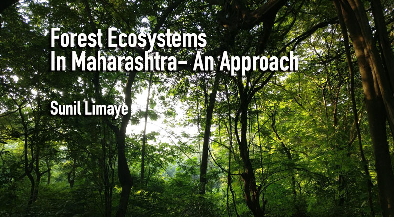 case study on forest ecosystem in india